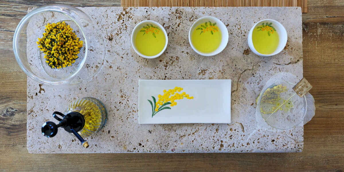 copie-de-couverture-site-mandelieu-tourisme-198