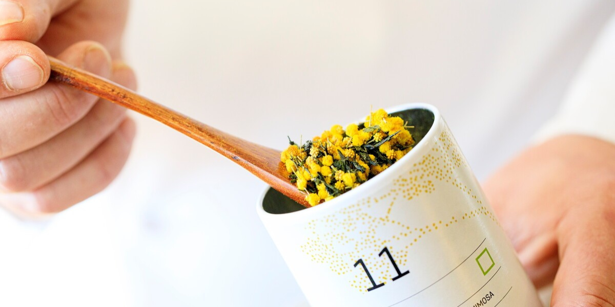 copie-de-couverture-site-mandelieu-tourisme-3-200