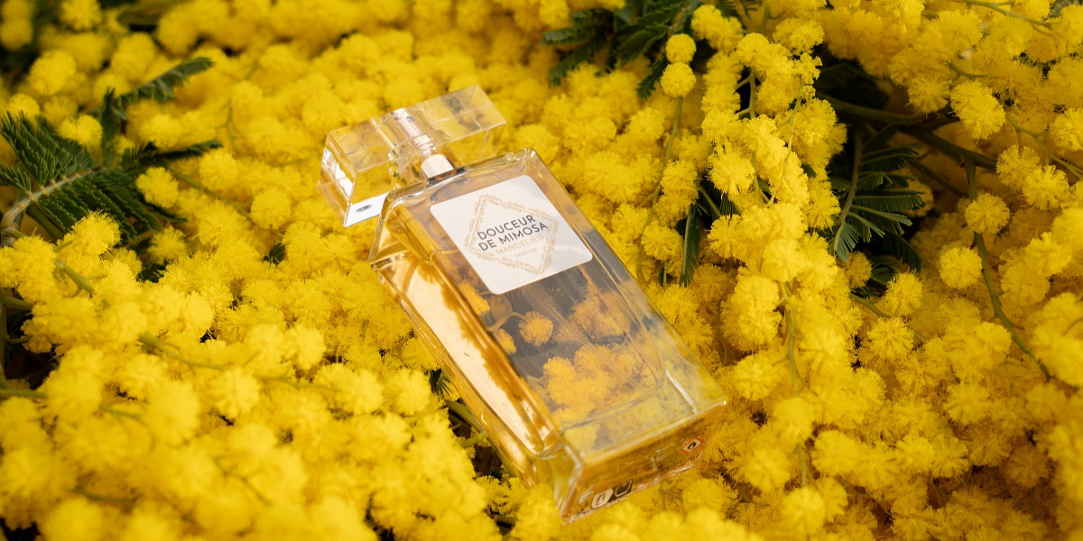 copie-de-couverture-site-mandelieu-tourisme-4-201