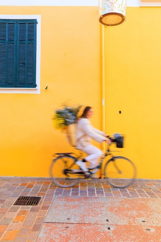 Activit&eacute;s d'Hiver