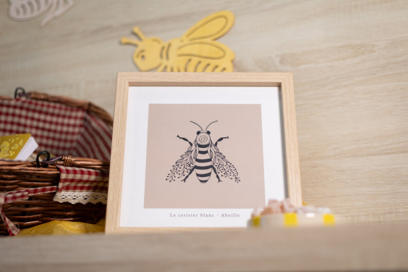 Collection Printemps