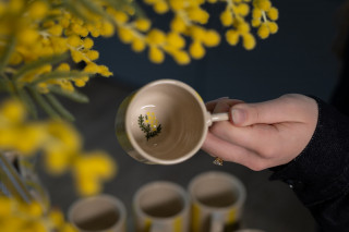 mandelieu-014614-bd-1950