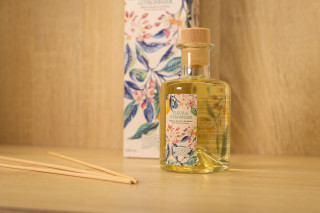 mandelieu-014622-bd-1956