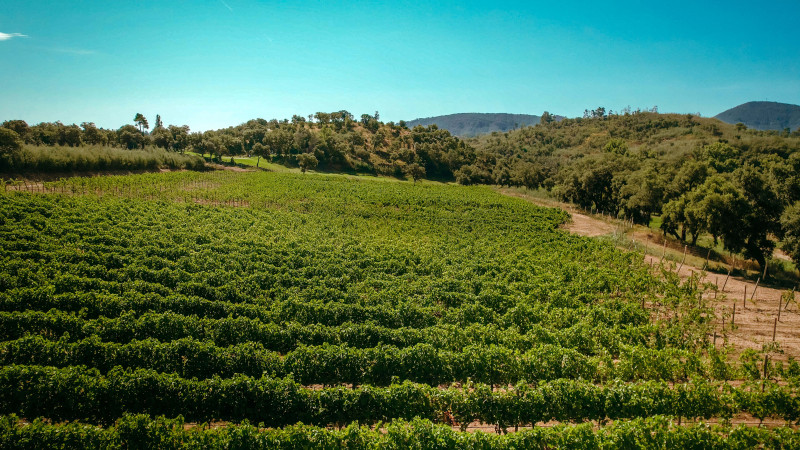 brb-drone-hd-0041-drone-eliot-compressed-compressed-2270 brb-drone-hd-0041-drone-eliot-compressed-compressed-2270