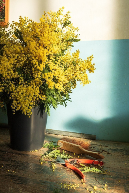 mandelieu-004386-bd-1-1725 mandelieu-004386-bd-1-1725