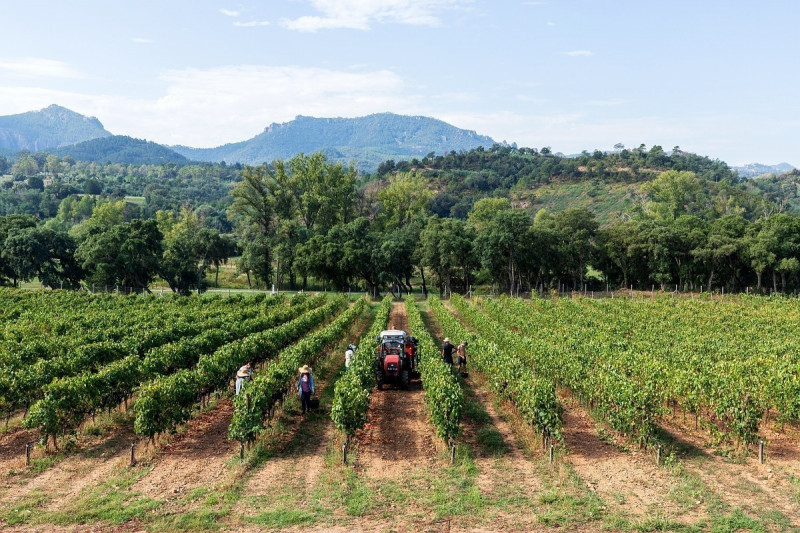 mandelieu-009165-bd-2111