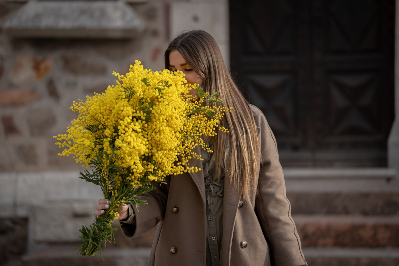 mandelieu-009354-bd-1831