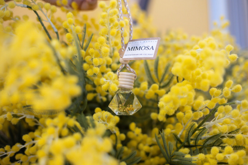 mandelieu-014157-bd-1747