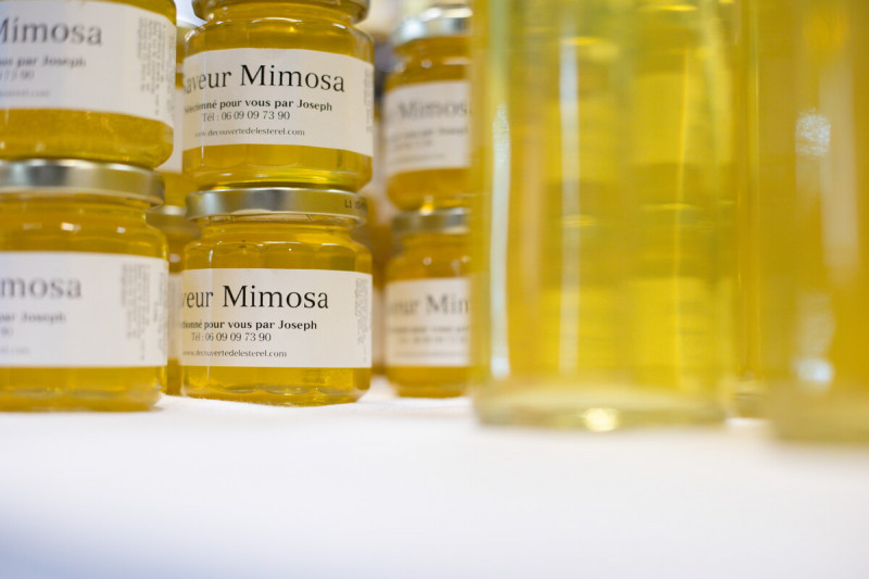 mandelieu-014185-bd-1763