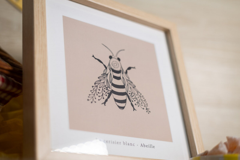 mandelieu-014363-bd-1909