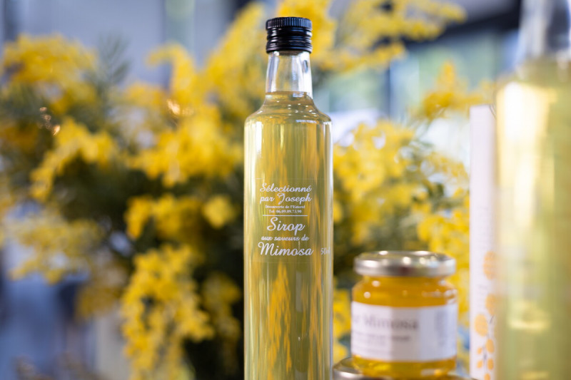 mandelieu-014405-bd-1813