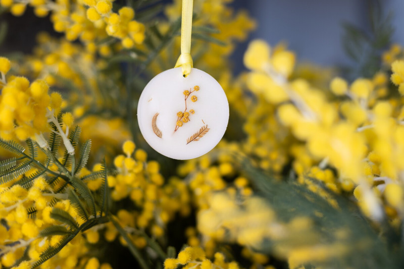 mandelieu-014420-bd-1824