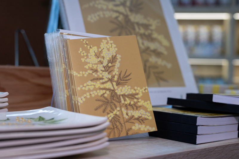 mandelieu-014427-bd-1913