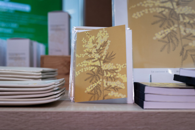 mandelieu-014428-bd-1914 mandelieu-014428-bd-1914