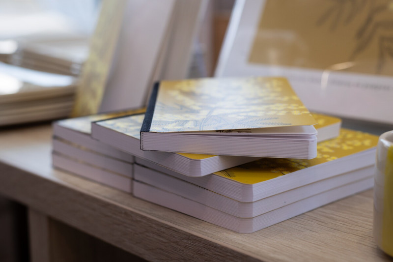 mandelieu-014429-bd-1911