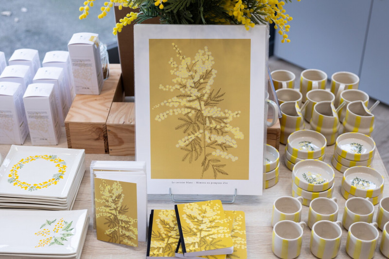 mandelieu-014440-bd-1903