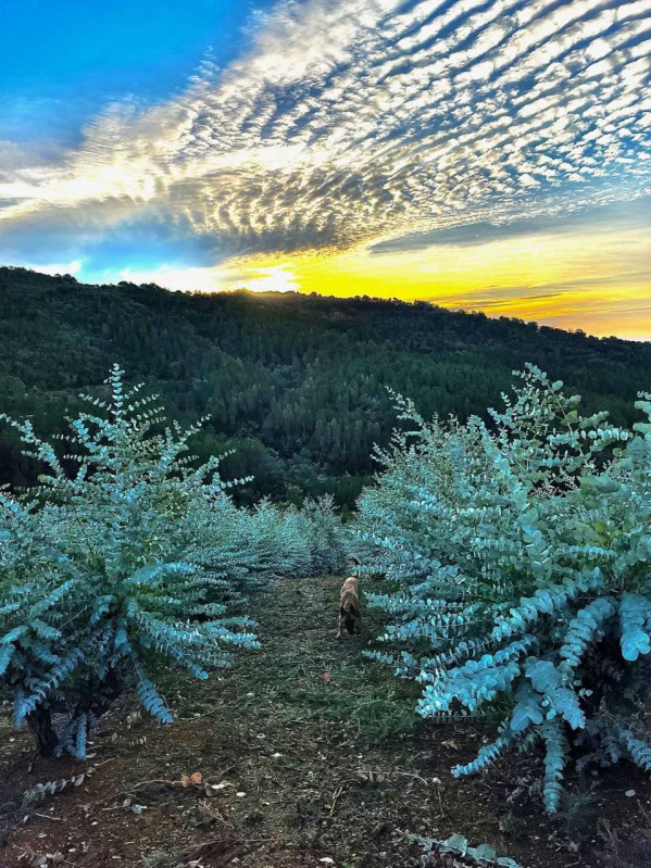 t-l-chargement-1-2272